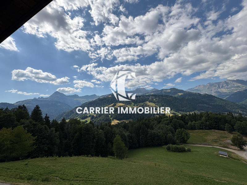 Châlet - 328 m² - 16 pièces