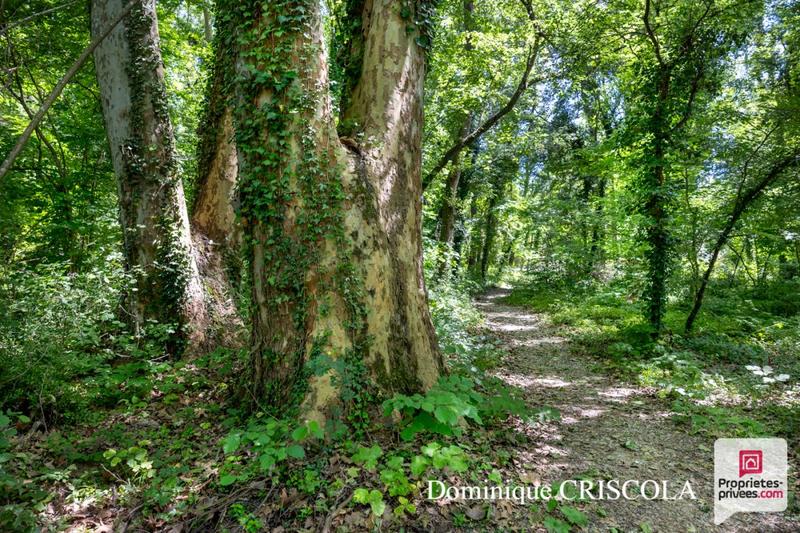 Maison - 300 m² - 12 pièces