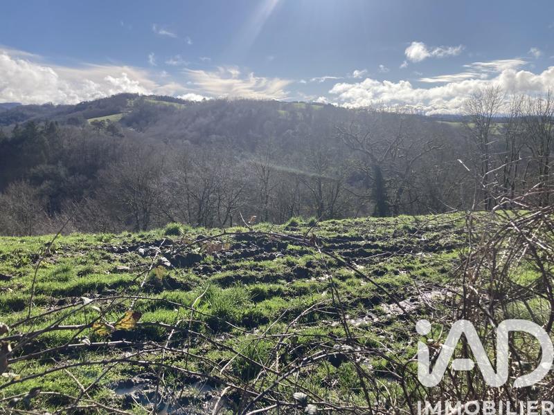 Terrain - 1 447 m²