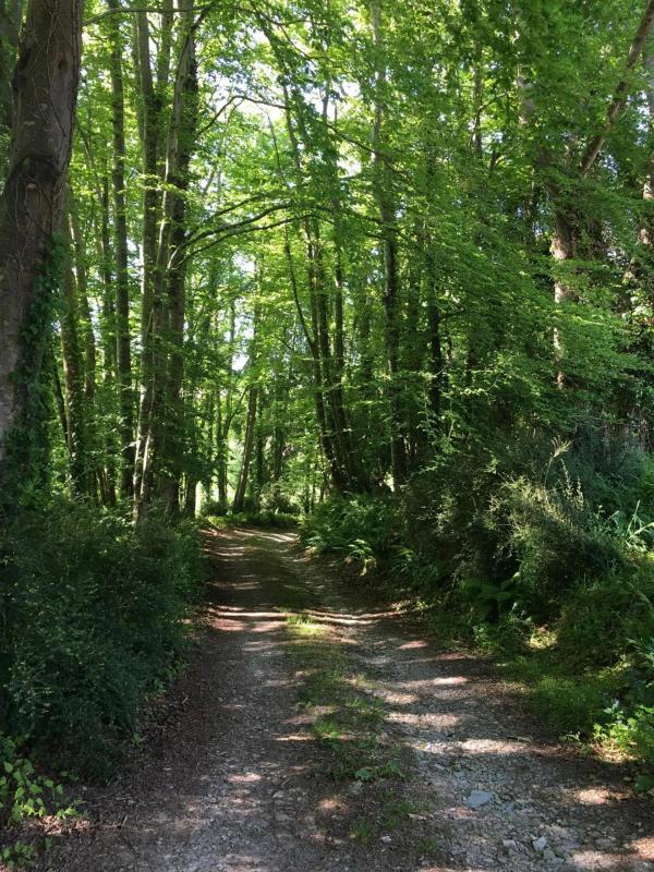 Demeure - 350 m² - 10 pièces