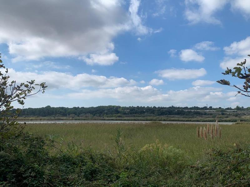 Terrain constructible - 401 m²