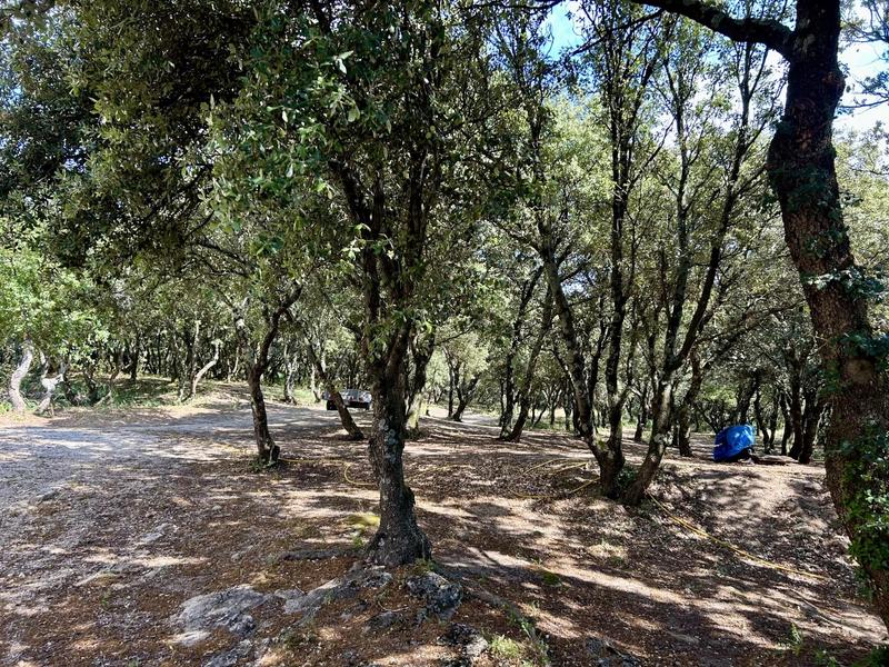 Maison - 230 m² - 5 pièces