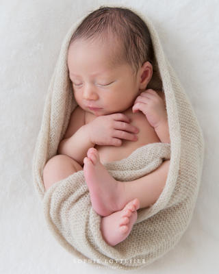 Sophie Lottefier Photography