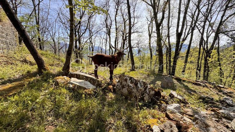 Mas - 473 m² - 12 pièces