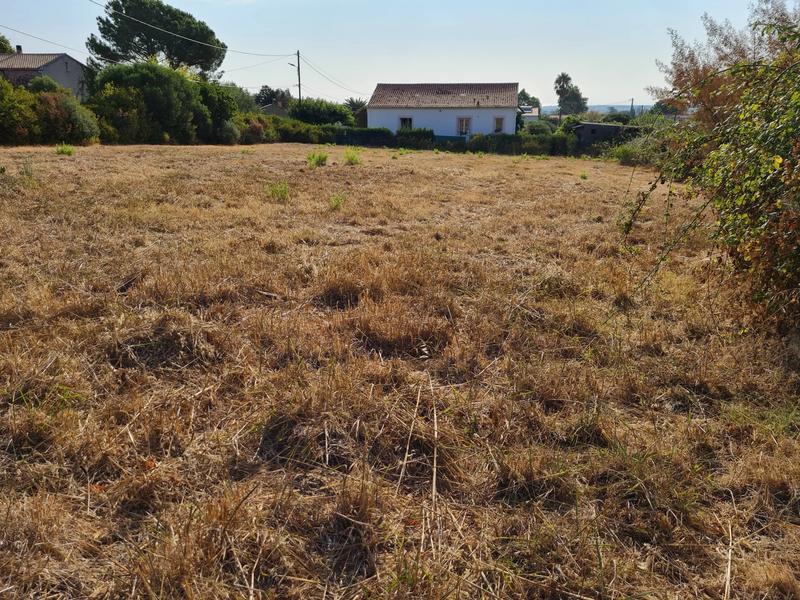 Terrain constructible - 1 037 m²