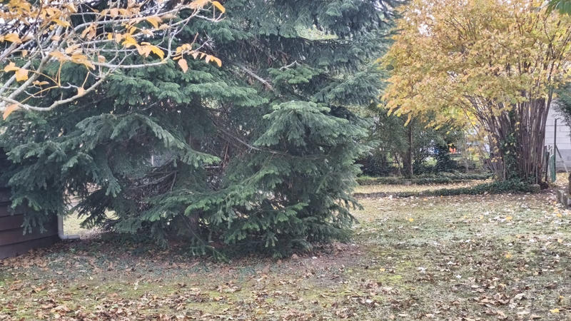 Maison - 65 m² - 4 pièces