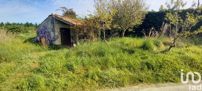 Maison - 236 m² - 5 pièces