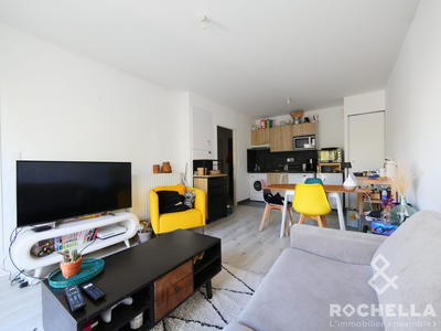 Appartement - 41 m² - 2 pièces