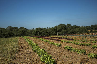 Au Jardin Bioretz - Magasin Bio Sainte Pazanne