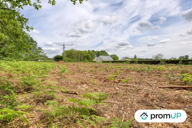 Terrain de loisirs - 4 000 m²