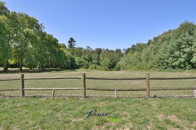 Local commercial - 563 m²