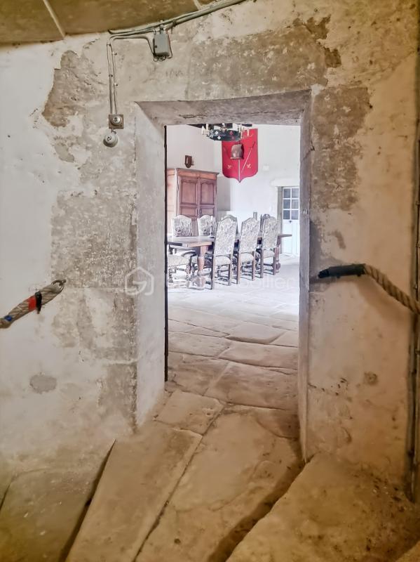 Château - 500 m² - 10 pièces