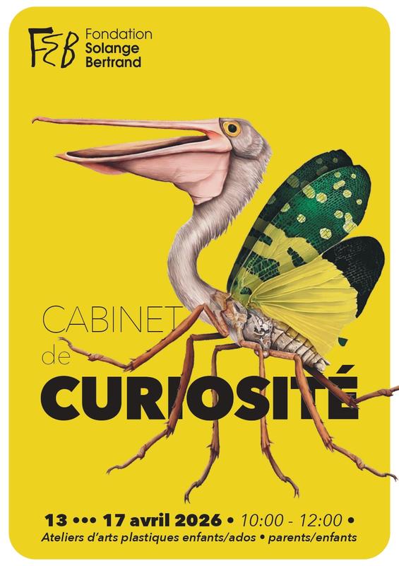 “ Cabinet de Curiosité” - Atelier d’arts plastiques - Nancy