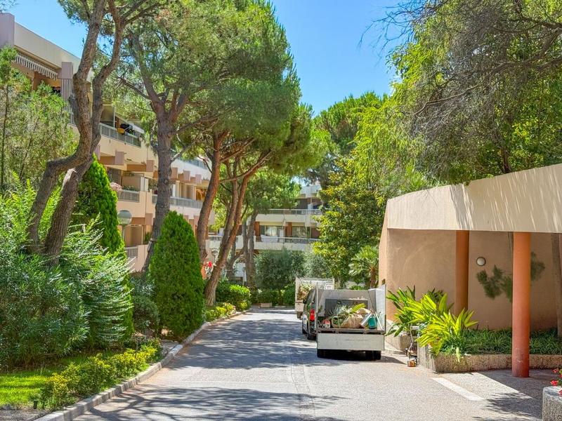 Studio - 31 m² - 1 pièce