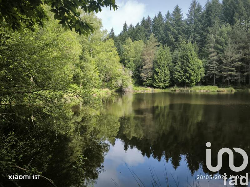 Terrain - 30 452 m²