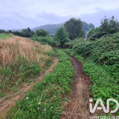 Terrain - 13 549 m²