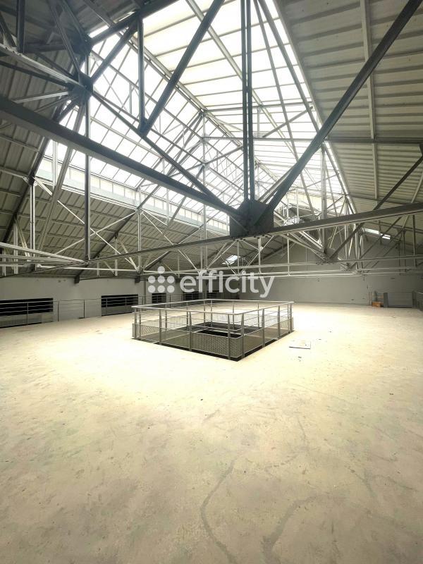 Bureau - 2 000 m² - 6 pièces