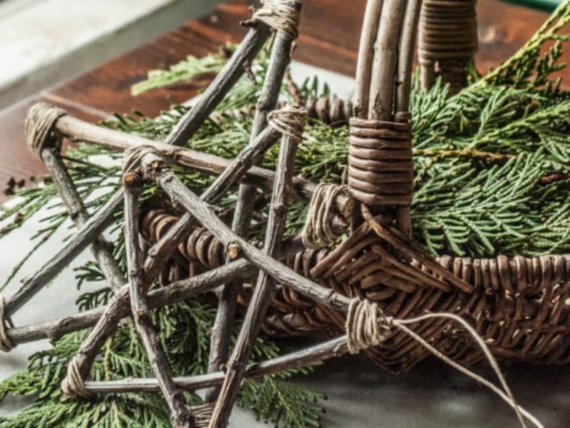 Sortie Nature : Décos de Noël Sauvages