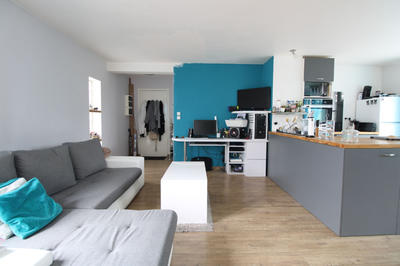 Appartement - 50 m² - 2 pièces