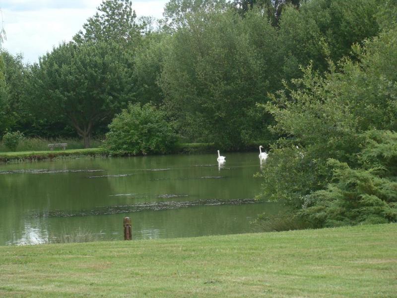 Terrain de loisirs - 11 549 m²