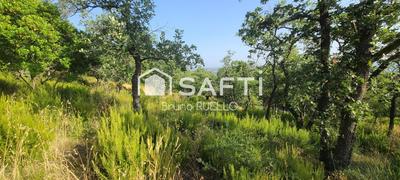 Terrain - 4 721 m²