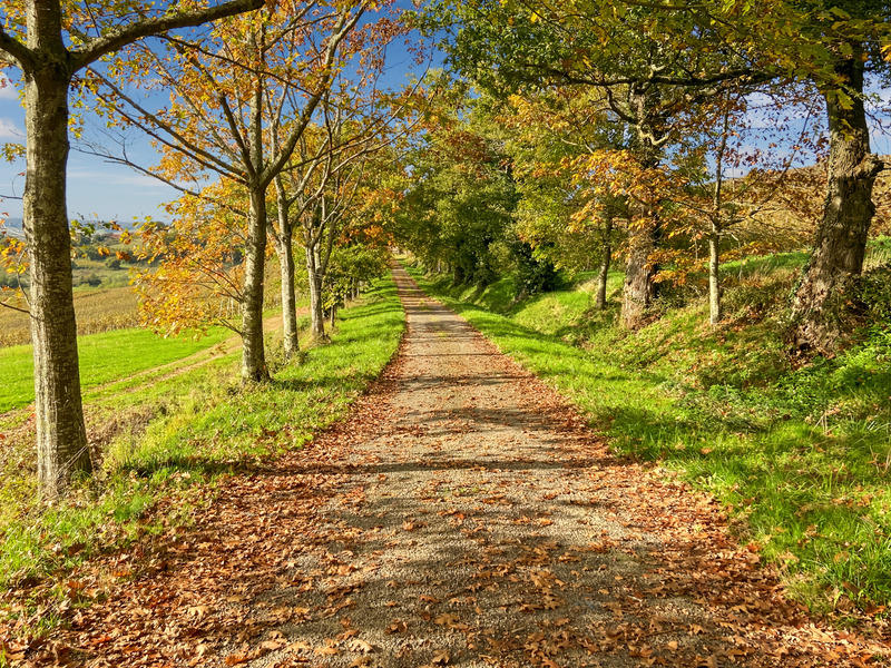 Maison - 327 m² - 6 pièces