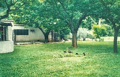 Villa - 116 m² - 4 pièces