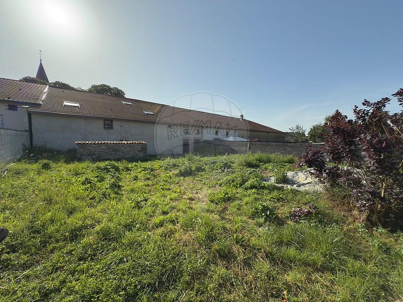 Cave / Box - 309 m²