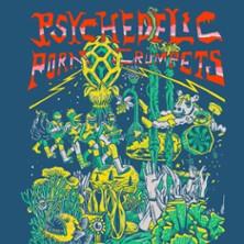 Psychedelic Porn Crumpets