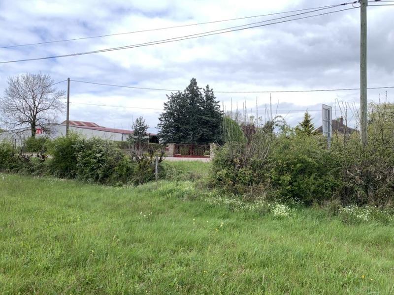 Terrain constructible - 3 917 m²