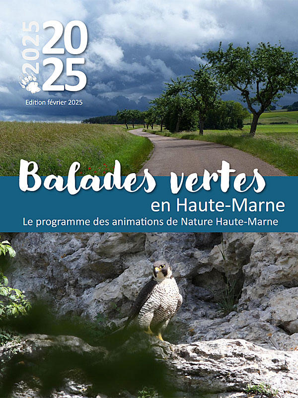 Balades Vertes en Haute-Marne : Balade Hivernale et Vin Chaud