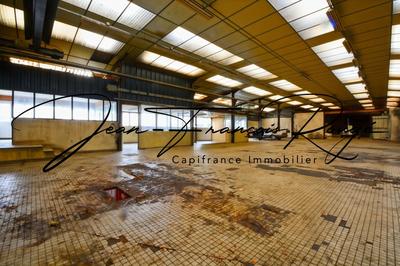 Local d'activité / Entrepôt - 1 635 m² - 12 pièces