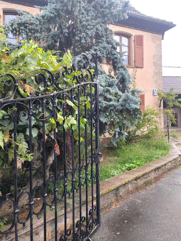 Maison - 235 m² - 10 pièces