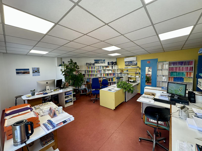 Local d'activités - 980 m²