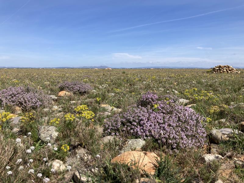 Visite de la Réserve des Coussouls de Crau