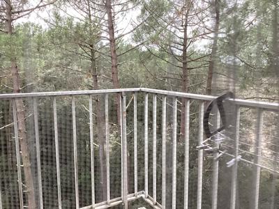 Appartement - 75 m² - 4 pièces