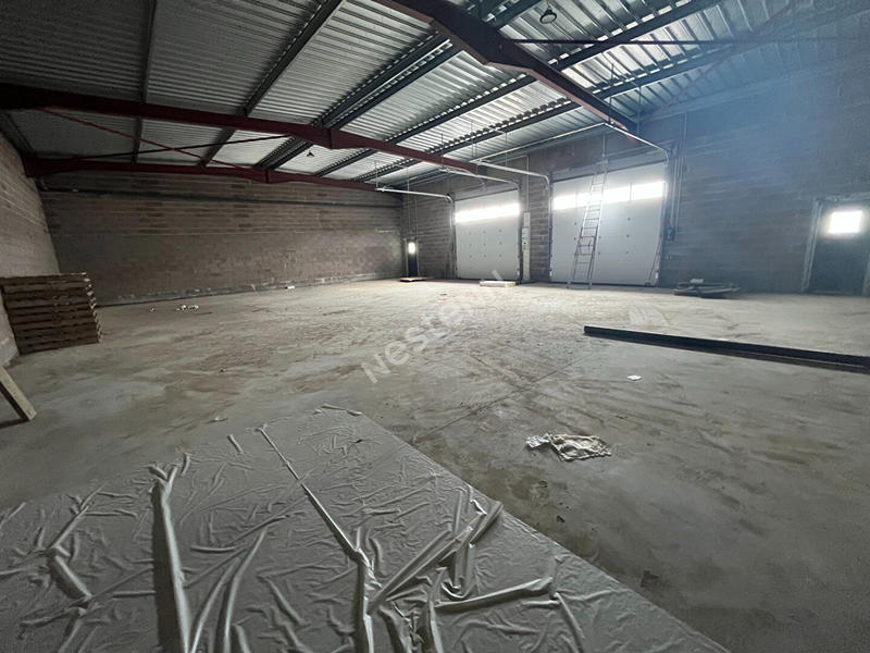 Local d'activité / Entrepôt - 250 m²