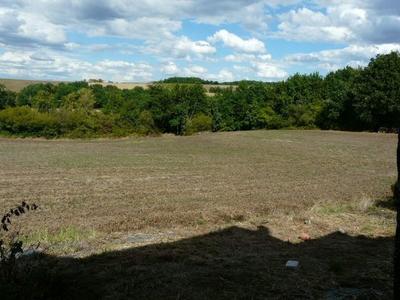 Propriété - 300 m² - 8 pièces