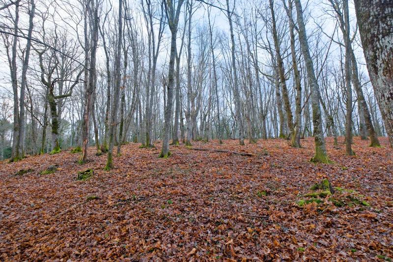 Terrain - 24 000 m²