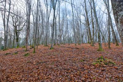 Terrain - 24 000 m²