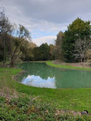 Terrain de loisirs - 3 200 m²