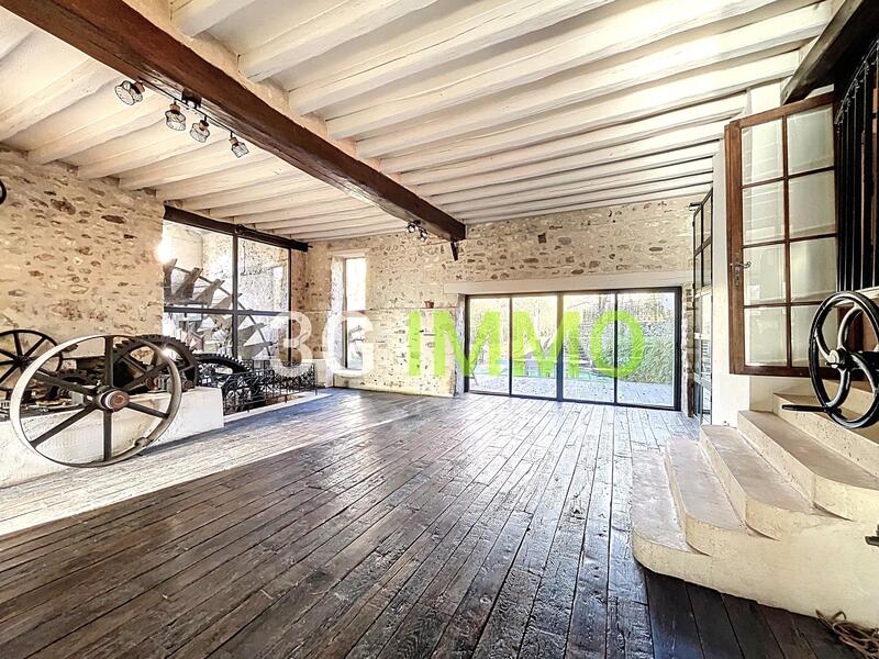 Moulin - 720 m² - 11 pièces