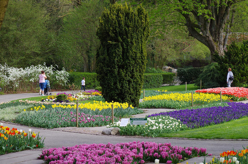 Groaaar ! Le festival de la Bd au zoo