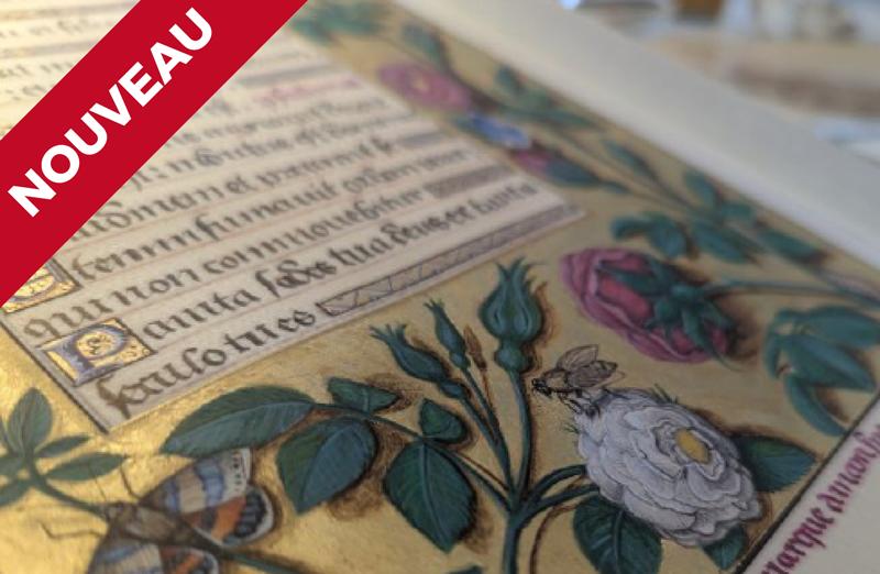 Voyage au coeur de l'enluminure