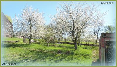 Maison de campagne - 143 m² - 6 pièces