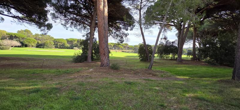 Studio - 23 m² - 1 pièce