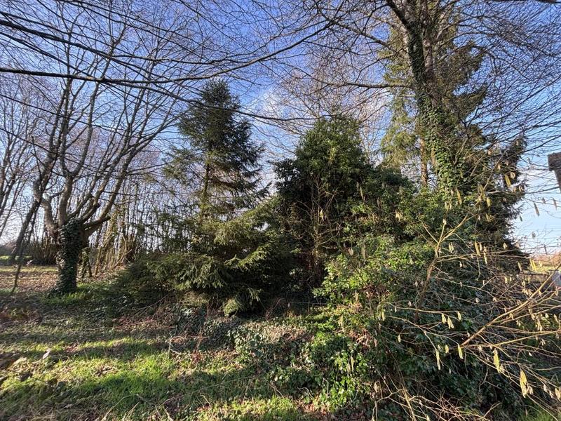 Propriété - 135 m² - 3 pièces