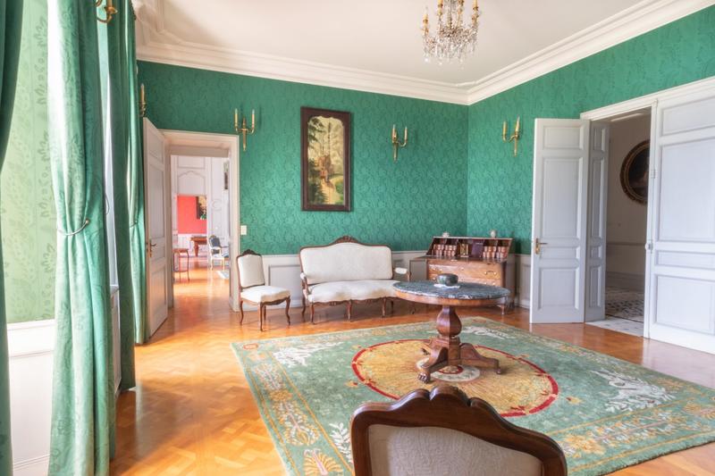 Château - 1 160 m² - 20 pièces