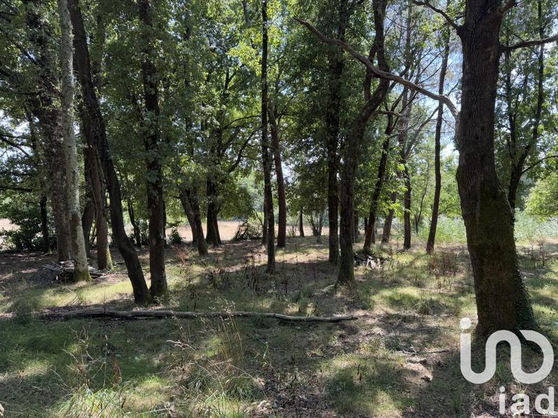 Maison - 161 m² - 5 pièces