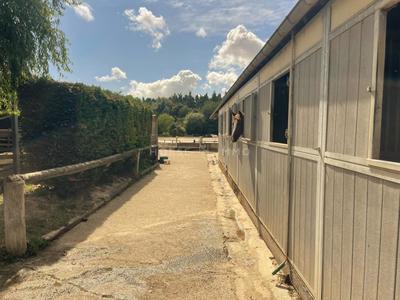 Maison de domaine équestre - 57 m² - 3 pièces